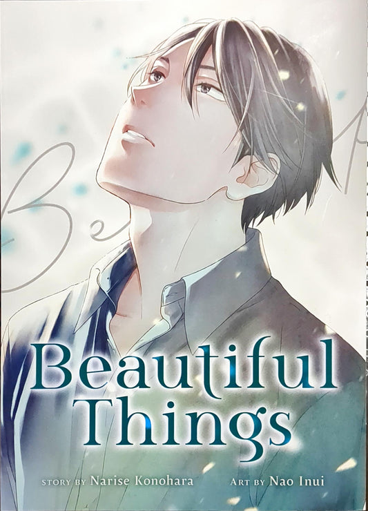 Beautiful Things The Complete Manga Collection, BL, Yaoi, Romance