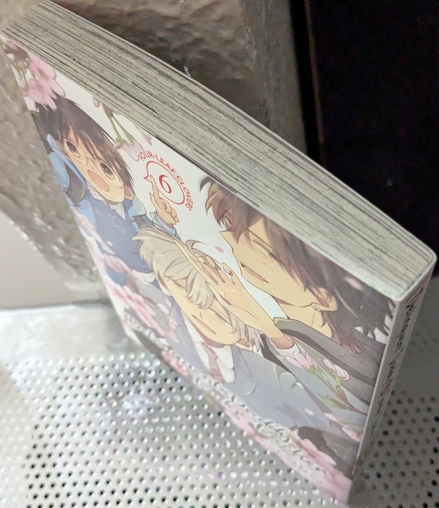 Delinquent Daddy & Tender Teacher vol 6, Tama Mizuki, Manga, BL, Yaoi, Romance