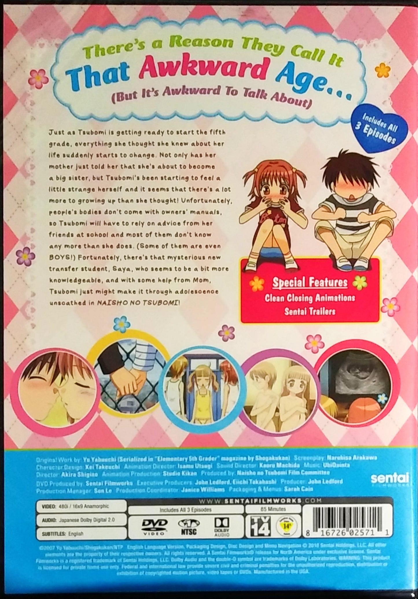 Naisho no Tsubomi DVD Complete Collection Sealed