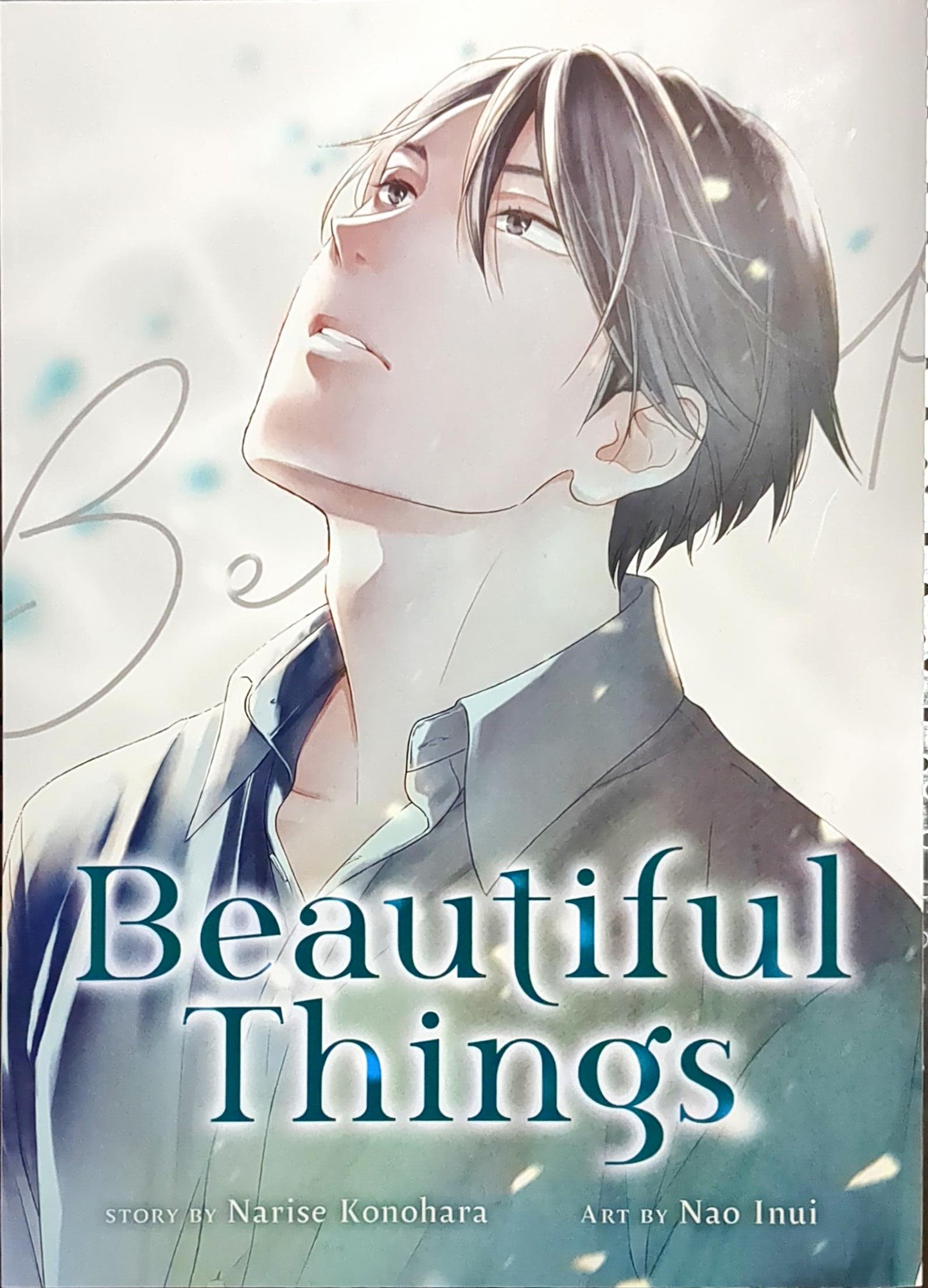 Beautiful Things The Complete Manga Collection, BL, Yaoi, Romance