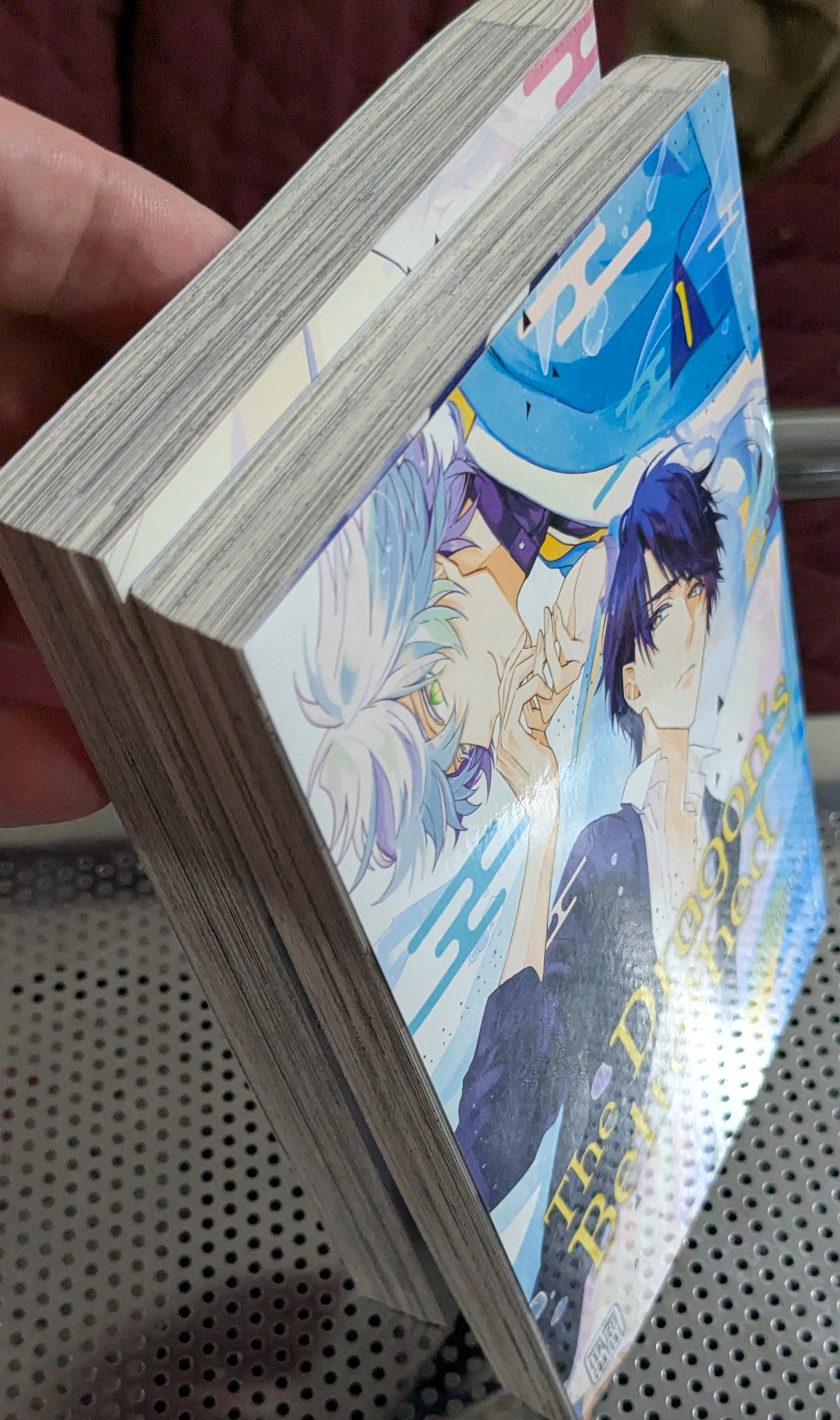 The Dragon's Betrothed, Meguru Hinohara, Manga, BL, Yaoi, Romance, Mature