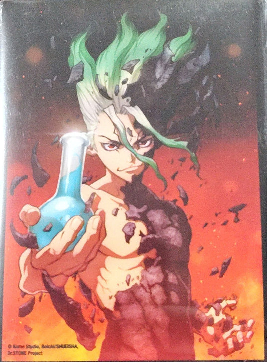 Dr. Stone, Senku Ishigami, Anime Card Sleeves 60 Standard Card Size