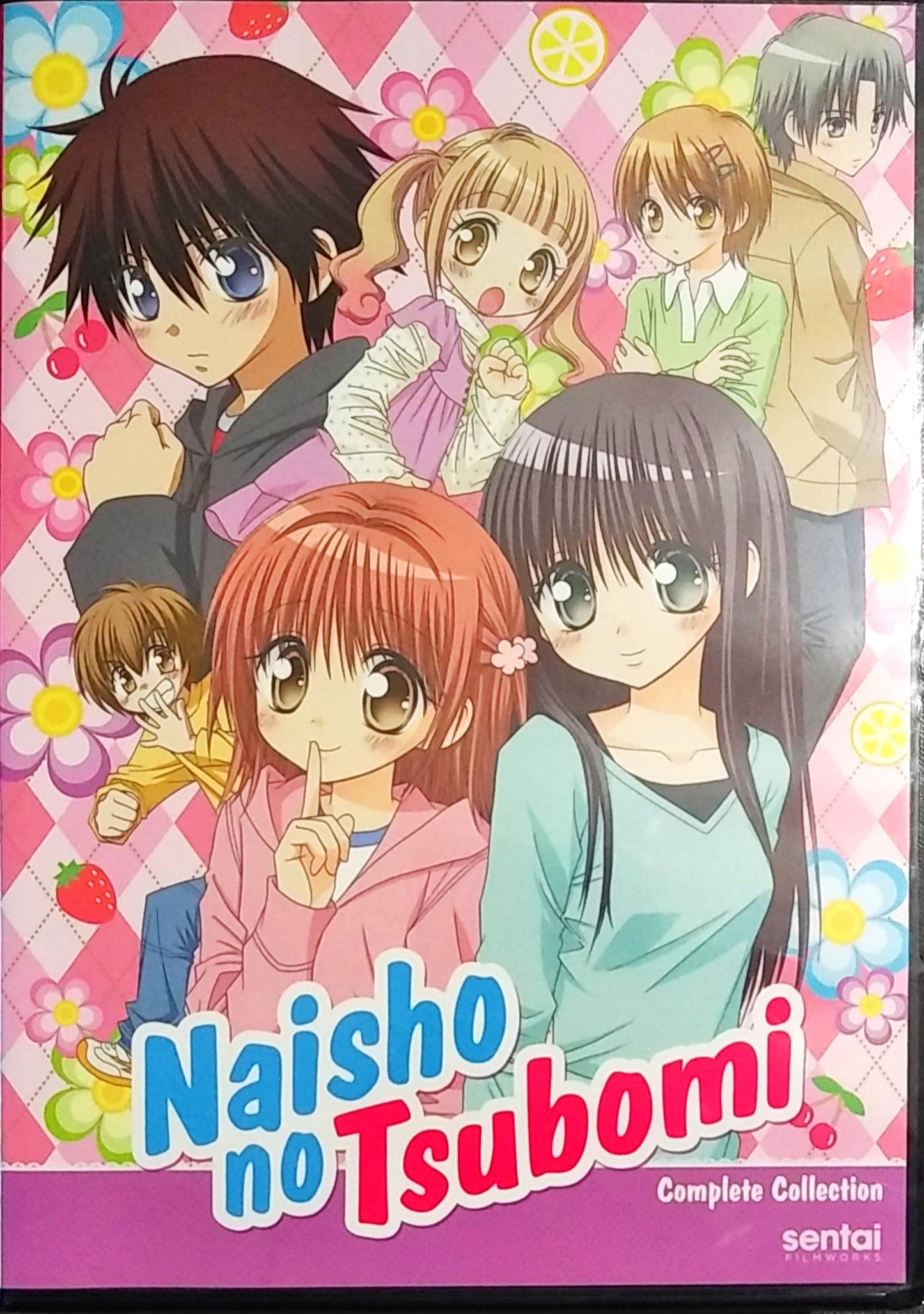 Naisho no Tsubomi DVD Complete Collection Sealed